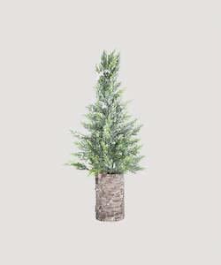 Womenswear: Scandinavian Tree