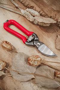 Vintage Pruner