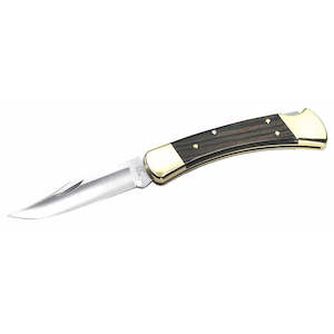 Buck 110 Folding Hunter Knife