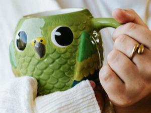 Kitschy Native Bird Mugs