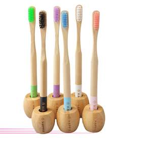 Household good wholesaling: Starter Pack - 6 Toothbrushes & Holders