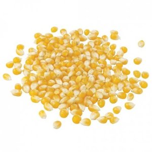 Popping Corn (Organic, NZ Grown, Bulk) - 3kg & 25kg