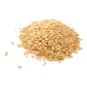 Wheat Grain for Milling or Sprouting (NZ organic) - 3kg