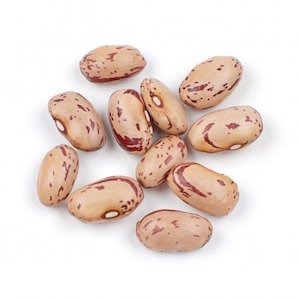 Bulk Borlotti Beans / Cranberry Beans (Dried) - 5kg or 25kg