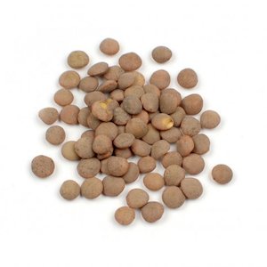 Products: H&H Lentils (brown, organic) - 3.5kg, 10kg