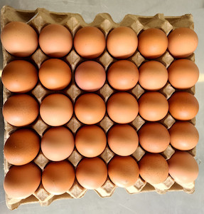 Tray of 30 Size 8 + Jumbo Premium Eggs Happy Chicks