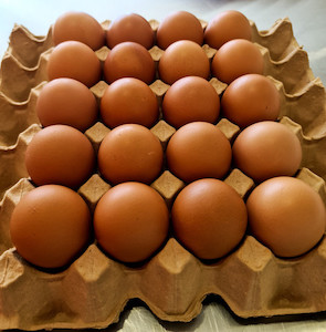 Tray of 20 JUMBO EGGS Happy Chicks