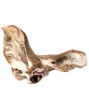 Pet: Deer Ear - Natural Dog Chew