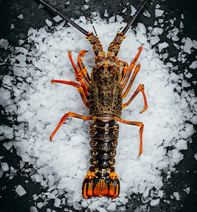 Crayfish Whole Frozen