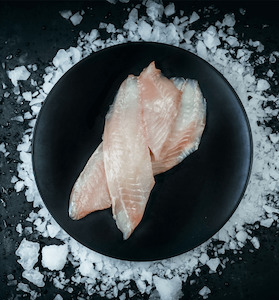 Seafood processing (other than on vessels): Tarakihi Fillets Fresh