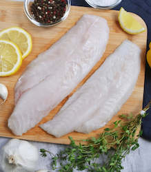 Chatham Island blue cod