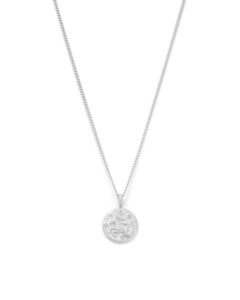 Capricorn Petite Zodiac Necklace - Silver