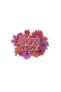 Santa Cruz Youth Vibes Sticker Assorted