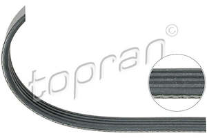 V-ribbed Drive Belt Audi A4 Bmw Vw Passat 050903137b 64551727378 5750.80