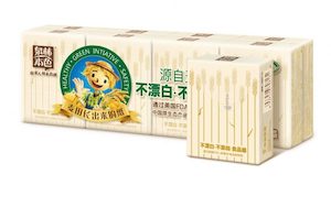 Wheat Straw Facial Tissue 60 Packs/CTN