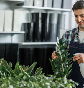 Detergent: GreenMate Plants Spray