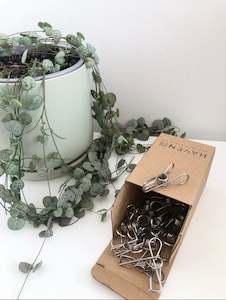 Stainless steel pegs - Small Haven & Co NZ