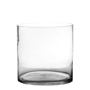 House Home: 10x10cm Glass Cylinder Vase