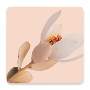 Flourish Pink Flower Ceramic Coaster