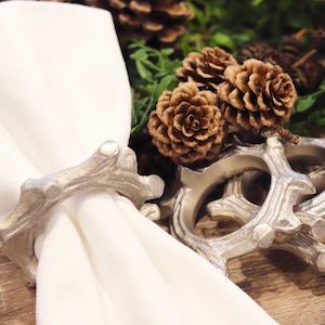 Twisted Botanic Branch Napkin Ring