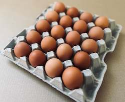 Sunny Side Up Free Range Eggs: Free Range 'JUMBO' 20 Pack