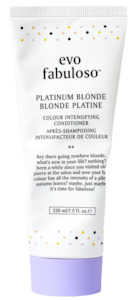 Evo Fabuloso Platinum Blonde Colour Boosting Treatment