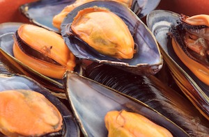 Magazine publishing (except internet): Ask the experts: Cholesterol in seafood