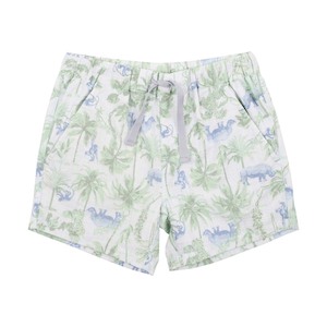 Savanna Print Shorts