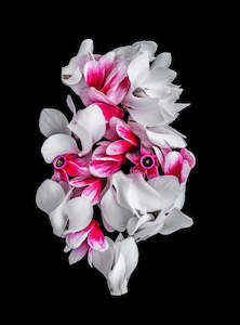 Cyclamen Sculpture