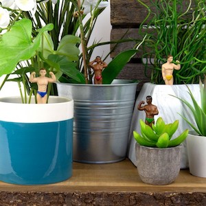 Mini Plant Pot Hunks