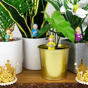 Mini Plant Pot Royal Gardners