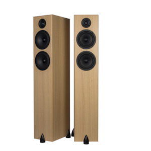 Outdoor Speakers: Totem – Bison Twin Tower - Floor Standing Speakers (Pair)