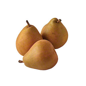 Pear – Taylor’s Gold