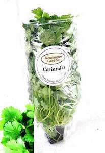 Coriander Living Herb