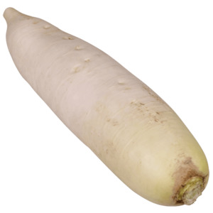 Daikon Radish