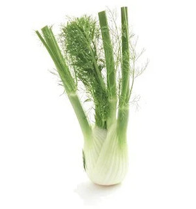 Fennel Bulbs Loose