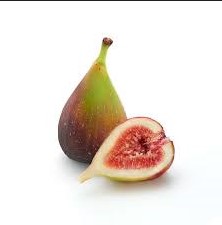 Fig