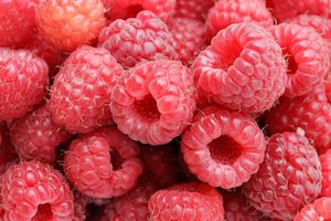 Raspberry Punnet