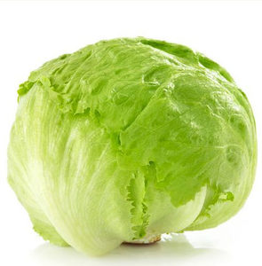 Iceberg Lettuce