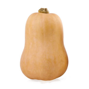 Butternut Pumpkin