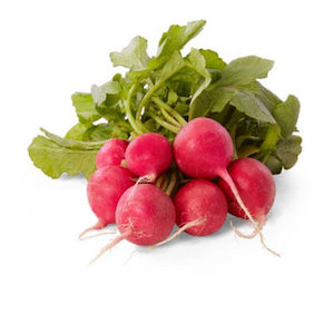 Radish Bunch