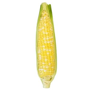 Corn