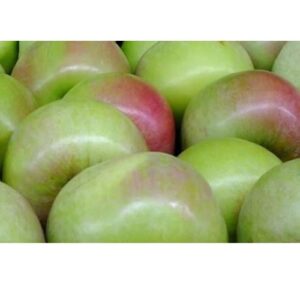 Granny Smith Apple Loose