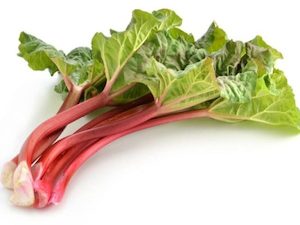 Rhubarb Loose