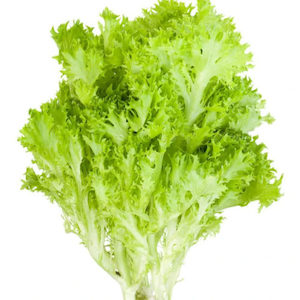 Frilly Lettuce