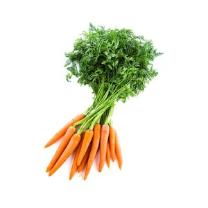 Bunched Carrots