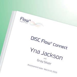 Human relations consultancy service: DISC Flow® CONNECT Report