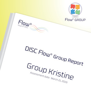 DISC Flow® GROUP Report