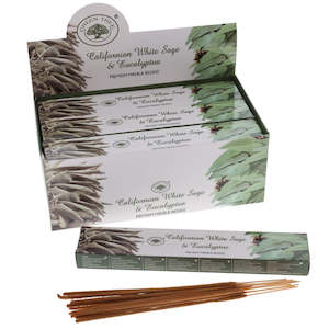 Variety: Green Tree White Sage