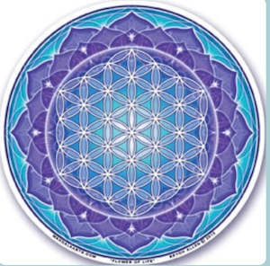 Window Sticker Flower of Life